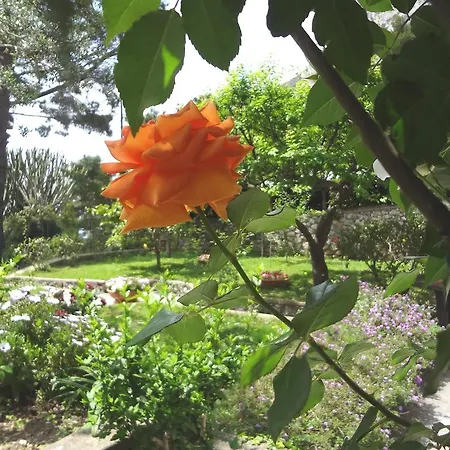 Bed & Breakfast Casa Augusto