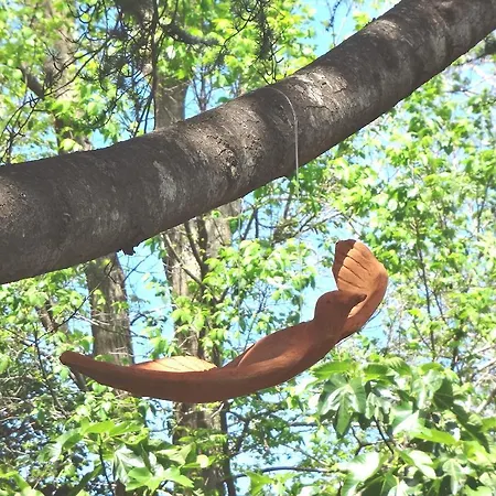 ベッド・アンド・ブレックファスト Casa Augusto カプリ