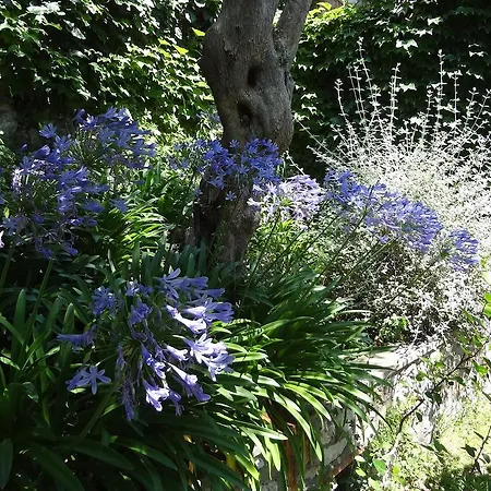 Casa Augusto カプリ