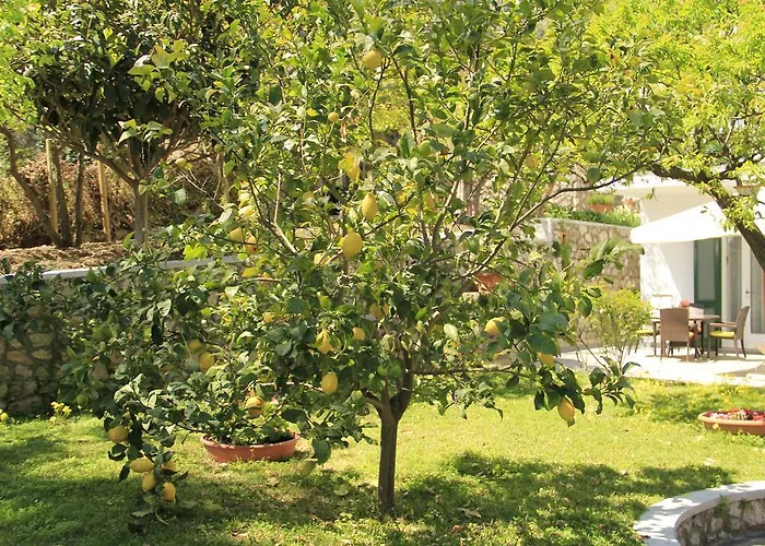 住宿加早餐酒店 Casa Augusto 4*