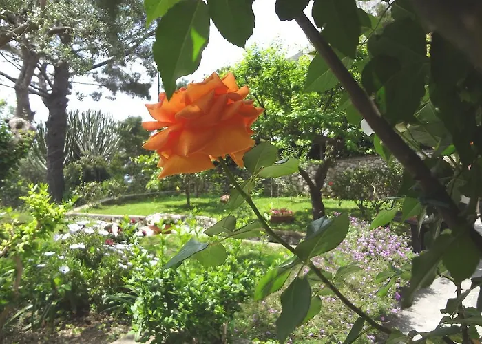 住宿加早餐酒店 Casa Augusto