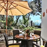 Bed and Breakfast Casa Augusto Κάπρι